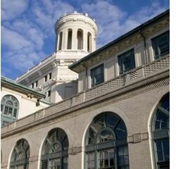 Investigadoras portuguesas nomeadas IEEE Fellows