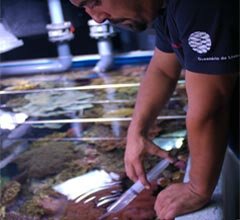 Oceanário de Lisboa lecciona disciplina de Aquariologia
