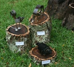 Monte Selvagem - exposição Sucat'art Selvagem com mais peças