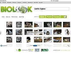 Bio3 lança novo olhar sobre a biodiversidade na internet