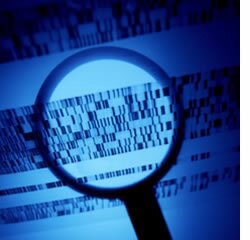 Detecção de evidências de selecção a nível molecular em espécies não-modelo