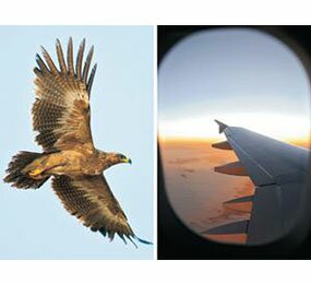 IPCB organiza palestra sobre 