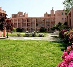 Equipa portuguesa disputou final do “Angelini University Award”