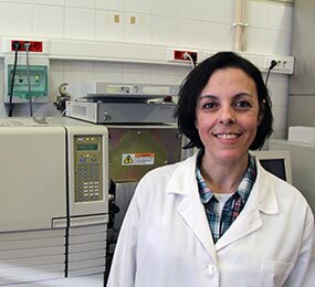 Queimas domésticas causam 30 por cento da poluição atmosférica em Portugal