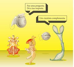 A evolução biológica em perguntas e respostas