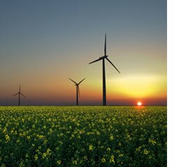 Solução híbrida para produzir energia eólica e solar vence prémio Altran