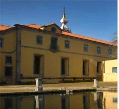 ESA do Politécnico de Viana lança Semana de Enfermagem Veterinária