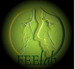FEELab lança projeto 