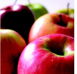 IPCB promove Concurso FrutArt nas escolas