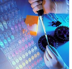 INESC TEC vai prever resultados estéticos de cirurgia do cancro da mama