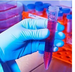 Genzyme distingue investigador da Universidade do Algarve