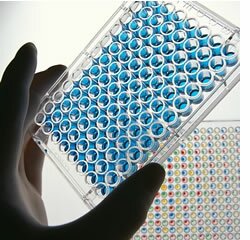Prémio Sociedade das Ciências Médicas de Lisboa / MSD em Epidemiologia Clínica