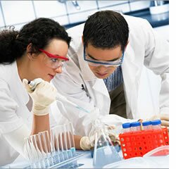 Bolsa de investigação D. Manuel de Mello para jovens médicos