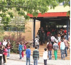 Uma loucura pela matemática…