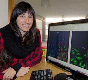 Universidade de Aveiro propõe combate mais eficaz ao cancro através do óxido de grafeno