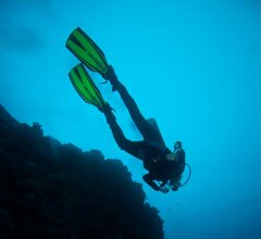 Biólogo Português selecionado para Global Reef Expedition