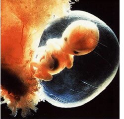 Programa informático alerta para problemas de oxigenação fetal