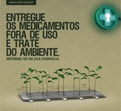 Valormed e Quercus iniciam reflorestação na Serra do Alvão
