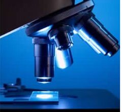 Investigadores e economistas debatem o futuro da Ciência nacional em tempos de crise