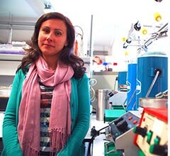 Investigadores da Universidade de Aveiro descobrem nova classe de líquidos iónicos