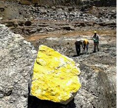 IPCB organiza encontro internacional para debater o tema 