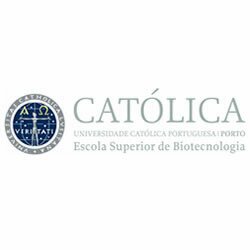 250.000 Visitas Mês, 40 Parceiros, Mais de 250 Escolas, 39.600 Noticias, 15.000 Utilizadores Registados, ...