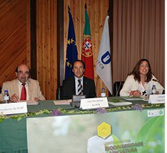 Investigadores alertam para papel estratégico da apicultura, polinização e biodiversidade