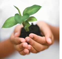 Projeto português diminui custos e impacto ambiental na indústria do plástico