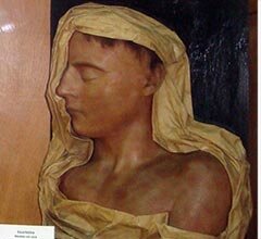 Museu da Ciência da UC dá a conhecer figuras anatómicas de cera da Faculdade de Medicina