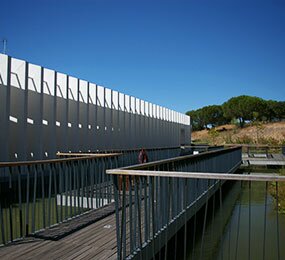 Fluviário de Mora lança 4ª edição do Prémio Jovem Cientista