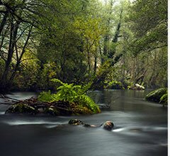 Aluno de Artes do IPCB vence Prémio de Fotografia