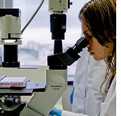 Mais de 200 jovens começam a produzir artigos científicos na Universidade Júnior