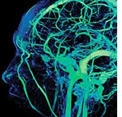 II Congresso de Investigação em Psiquiatria e Neurociências